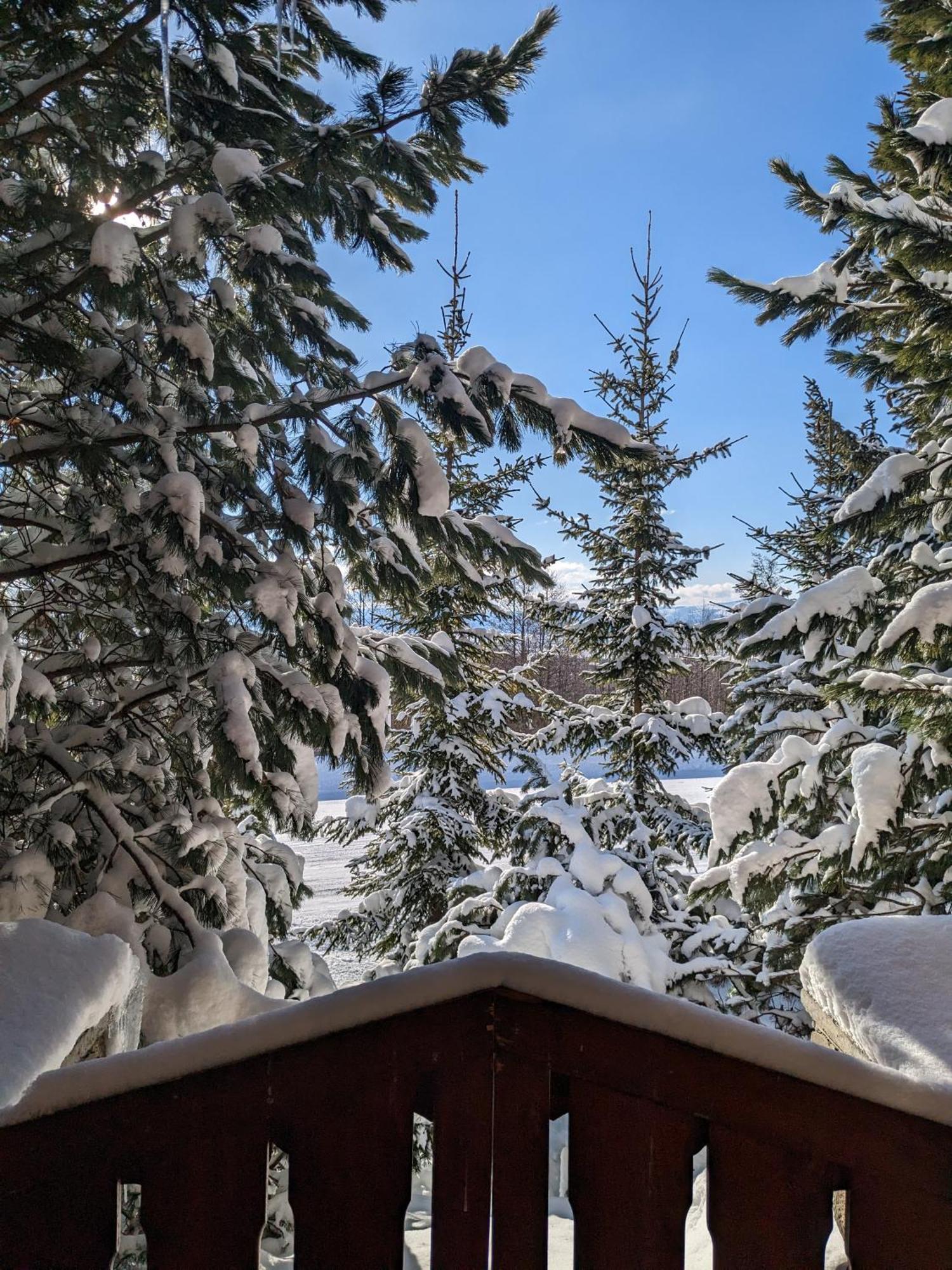 Apartmany Lesy A Luky - V Srdci Tatier Vysoké Tatry Exterior foto